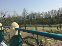 -上海长兴岛郊野公园