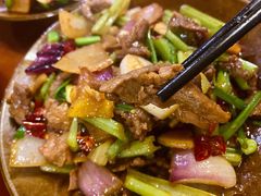 爆炒小黄牛-苗湘食府(十年店)
