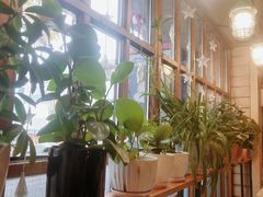 -Cafe Alice咖啡爱丽丝(奥城店)