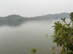 -鹤之洲湿地公园