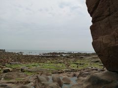 -八大关景区