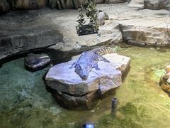 -泉城欧乐堡海洋极地世界