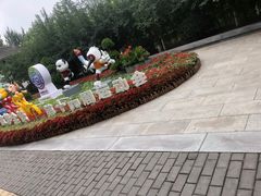 -莲湖公园
