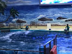 -福州罗源湾海洋世界旅游区