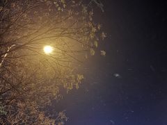 -哥俩好牛肉大串