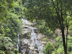 -广州白江湖森林公园