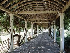 -苏州上方山国家森林公园