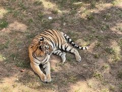 -西霞口神雕山野生动物世界
