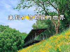 -西湖风景区-江洋畈生态公园