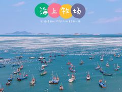 -枸杞岛