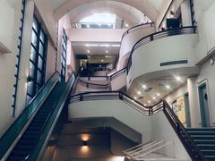 -香港大学