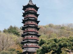 -牛首山文化旅游区