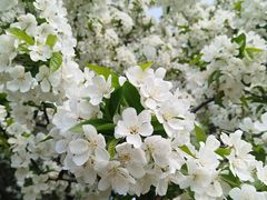 -汇泉广场