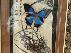-昆明市金殿名胜区