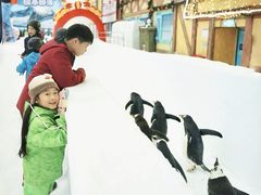 -广州热雪奇迹