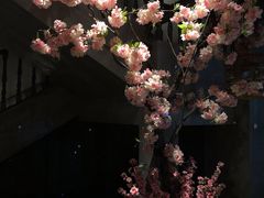 -新悦·霞浦海鲜生(上下杭店)