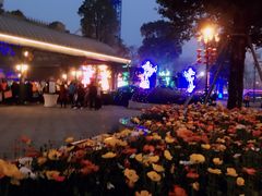 -国色天乡三期陆地乐园