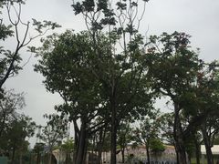 -海珠儿童公园