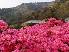 -木兰云雾山