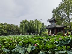-莲池书院博物馆