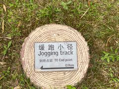 -上海佘山世茂艾美酒店
