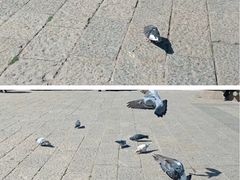 -迪庆藏族自治州博物馆