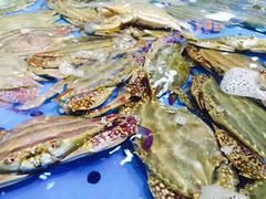 -天天鱼港·海鲜·鲅鱼水饺·招牌烤鸭(黄骅店)