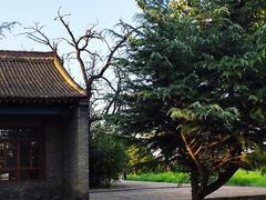 -汉长安城未央宫国家考古遗址公园