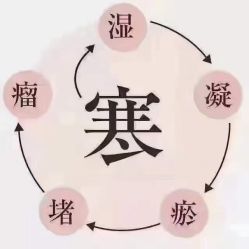 -香薇妮丝女子减肥院