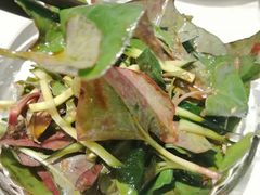 凉拌折耳根-川味堂·四川豆花(八卦岭店)