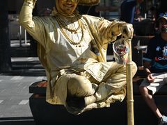 -悉尼歌剧院