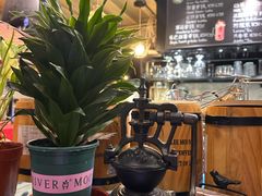 -Cafe Alice咖啡爱丽丝(奥城店)