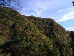 -王顺山国家森林公园