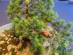 -百富源·海鲜辽菜(张士店)