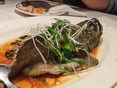 -稻香饭店(IFS国金中心店)