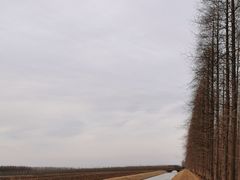 -黄海国家森林公园