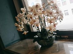 -新雅粤菜馆(南京东路店)