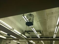 -香港蓮香樓(上環店)
