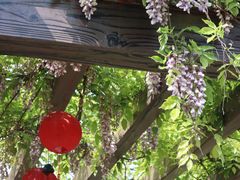 -白马涧龙池景区