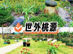 -广东天露山旅游度假区