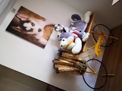 -Husky Go! 哈士奇体验馆·宠物咖啡厅狗咖