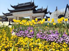 -苏州上方山国家森林公园