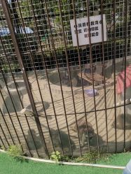 -萌宠亲子动物乐园(槐房万达店)