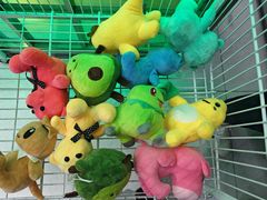 -幻物社(万象天地店)