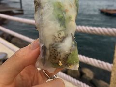 -越海渔村
