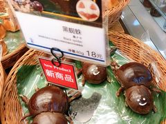 -都恩客(高岛屋百货店)