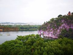 -璟象酒店-爱丽坊景观餐厅