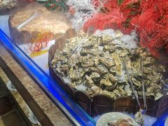 -比尔森啤酒自助烤肉(红旗街店)