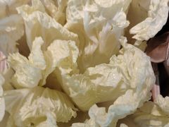 -老员外骨汤火锅(海州古城店)