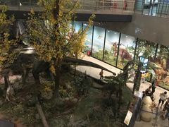 -湖南省地质博物馆